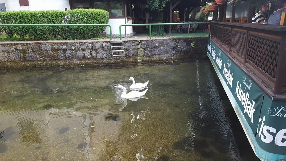 Hotel Rimski Most Ilidža Bagian luar foto